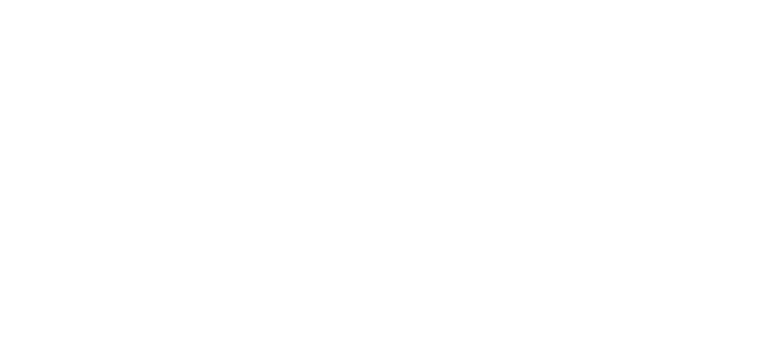 sloggi-weiss